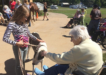 resident petting a dog